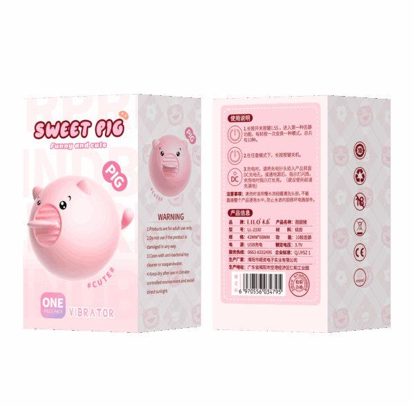 SWEET PIG  10 FUN USB - Image 2