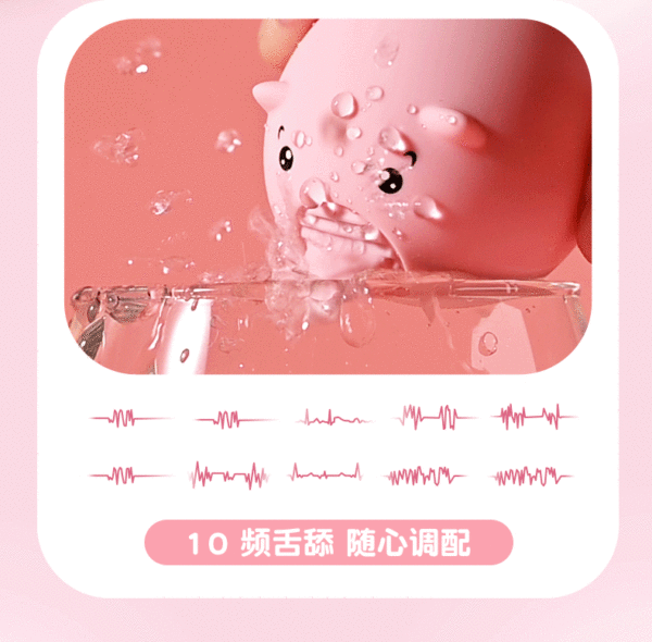 SWEET PIG  10 FUN USB - Image 3