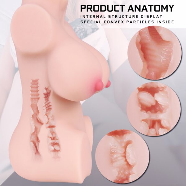 AIRI TORSO 1.7kg - Image 4
